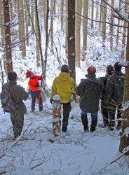 Die Studierenden messen, wie lange es dauert, die &Auml;ste eines Baumstammes zu entfernen