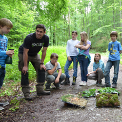 HAWK Waldp&auml;gogik-Zertifikat Abschlusspr&uuml;fung 
