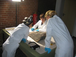 Bachelor-Studierende bei der Untersuchung einer Knagge