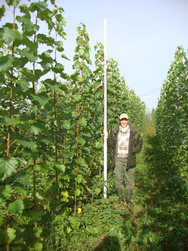 HAWK-Doktorandin Iris Schmiedel freut sich &uuml;ber vielversprechende Ergebnisse: Auf einer Deponie