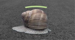 Pia Klinghammer gewinnt mit dem Clip von der Schnecke, der ihr Schneckenhaus am Rande einer viel bef
