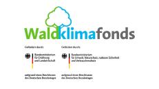 FNR - Waldklimafonds (WKF) des BMEL und des BMU
